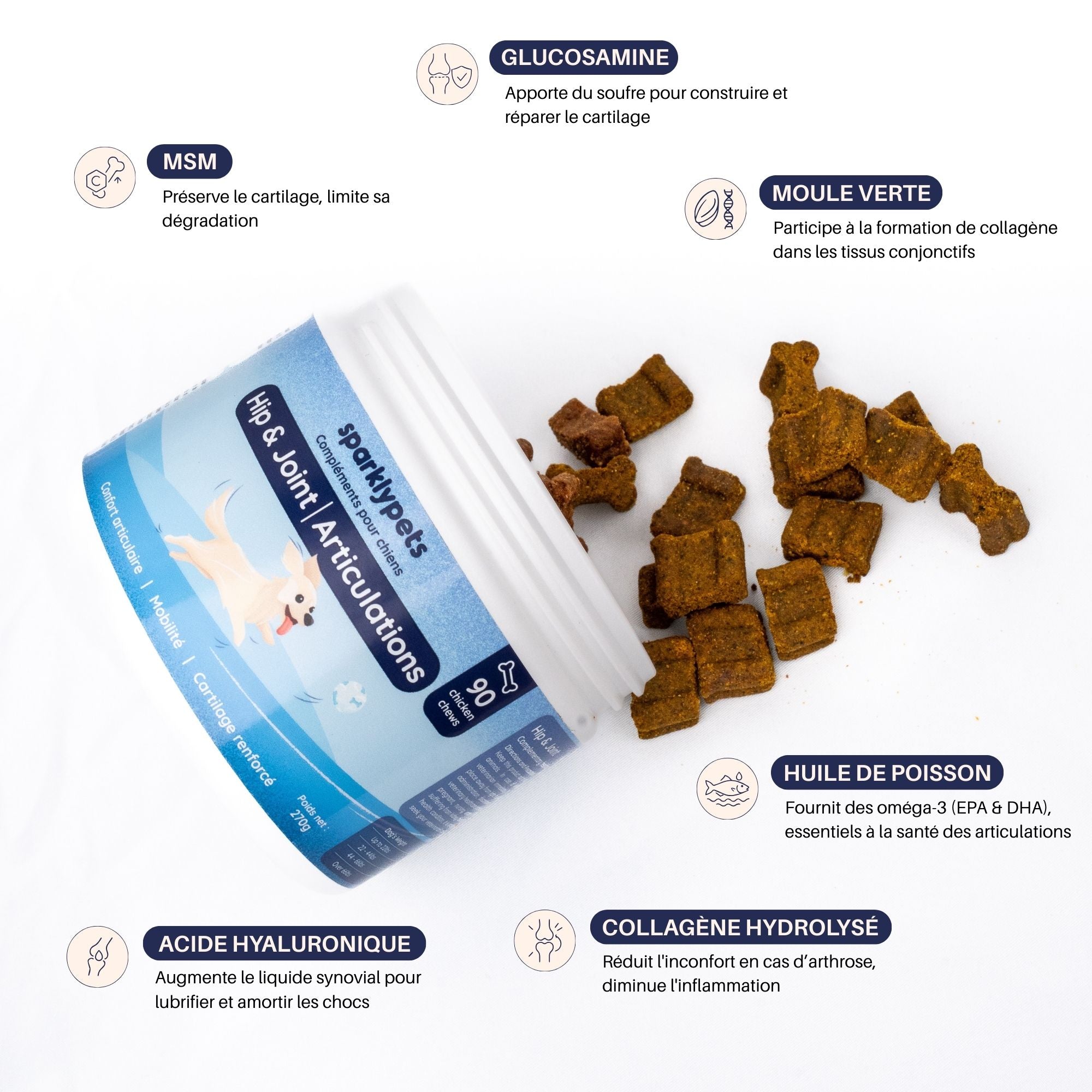 Complément Articulations