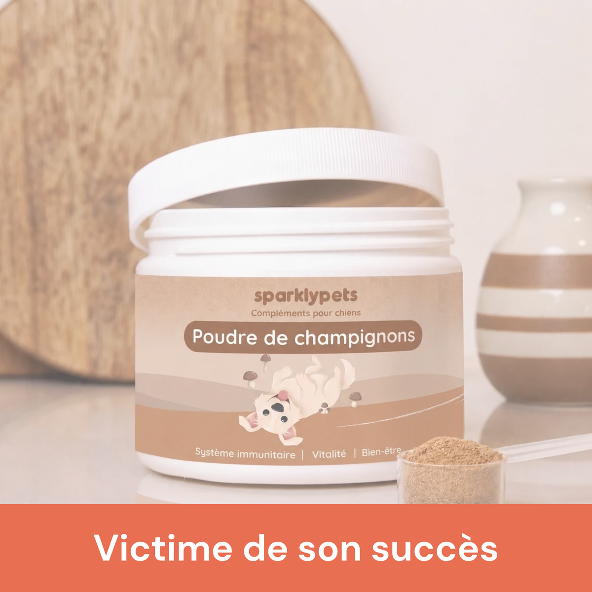 Complément Immunité
