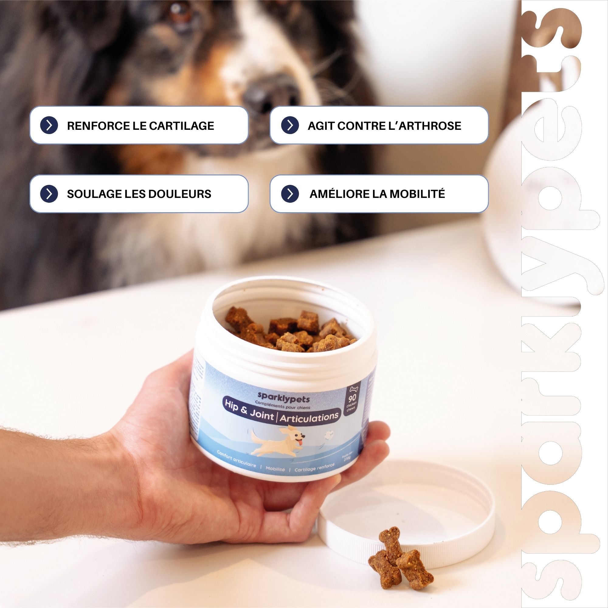 Complément Articulations