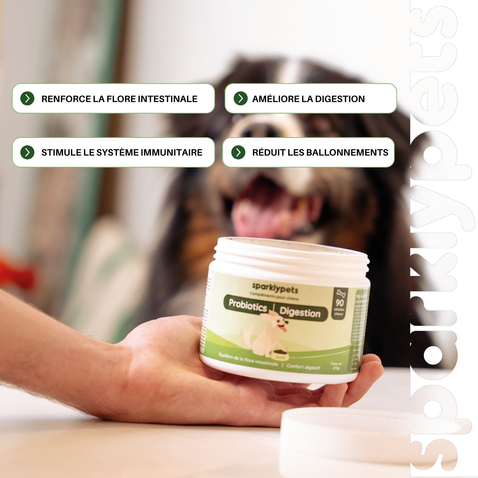 Complément Probiotiques