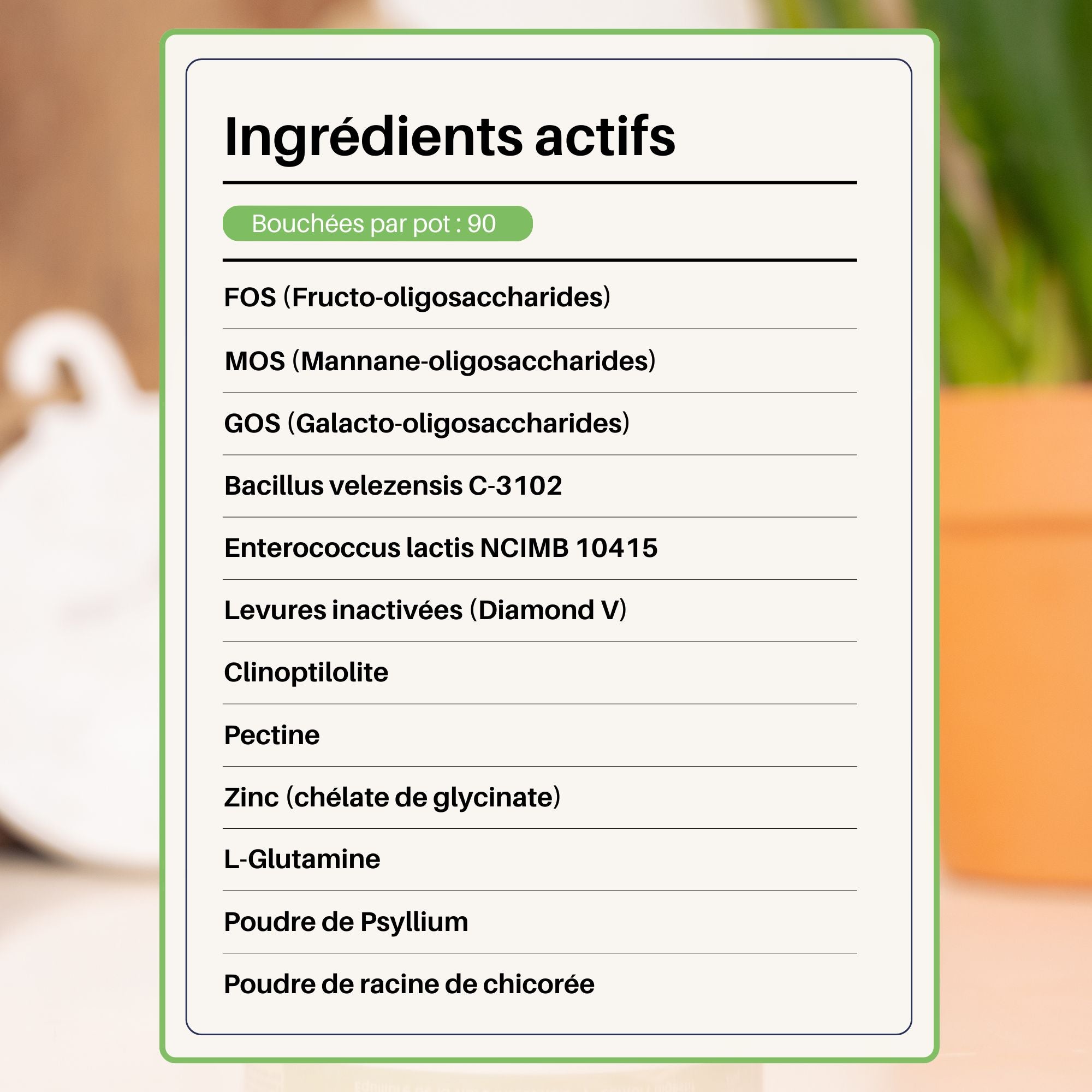 Complément Probiotiques