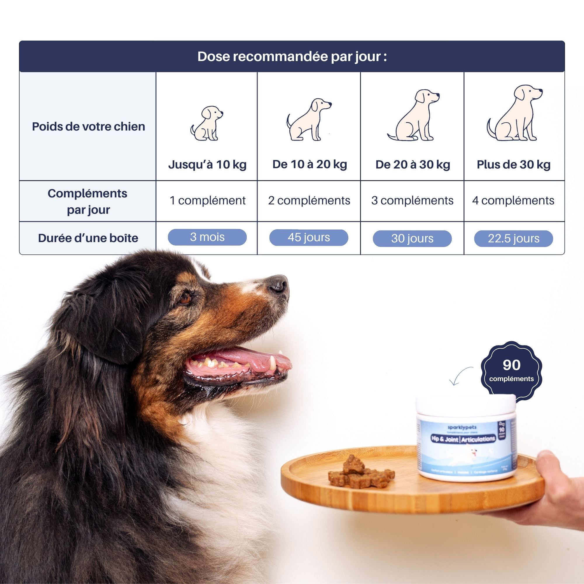Complément Articulations