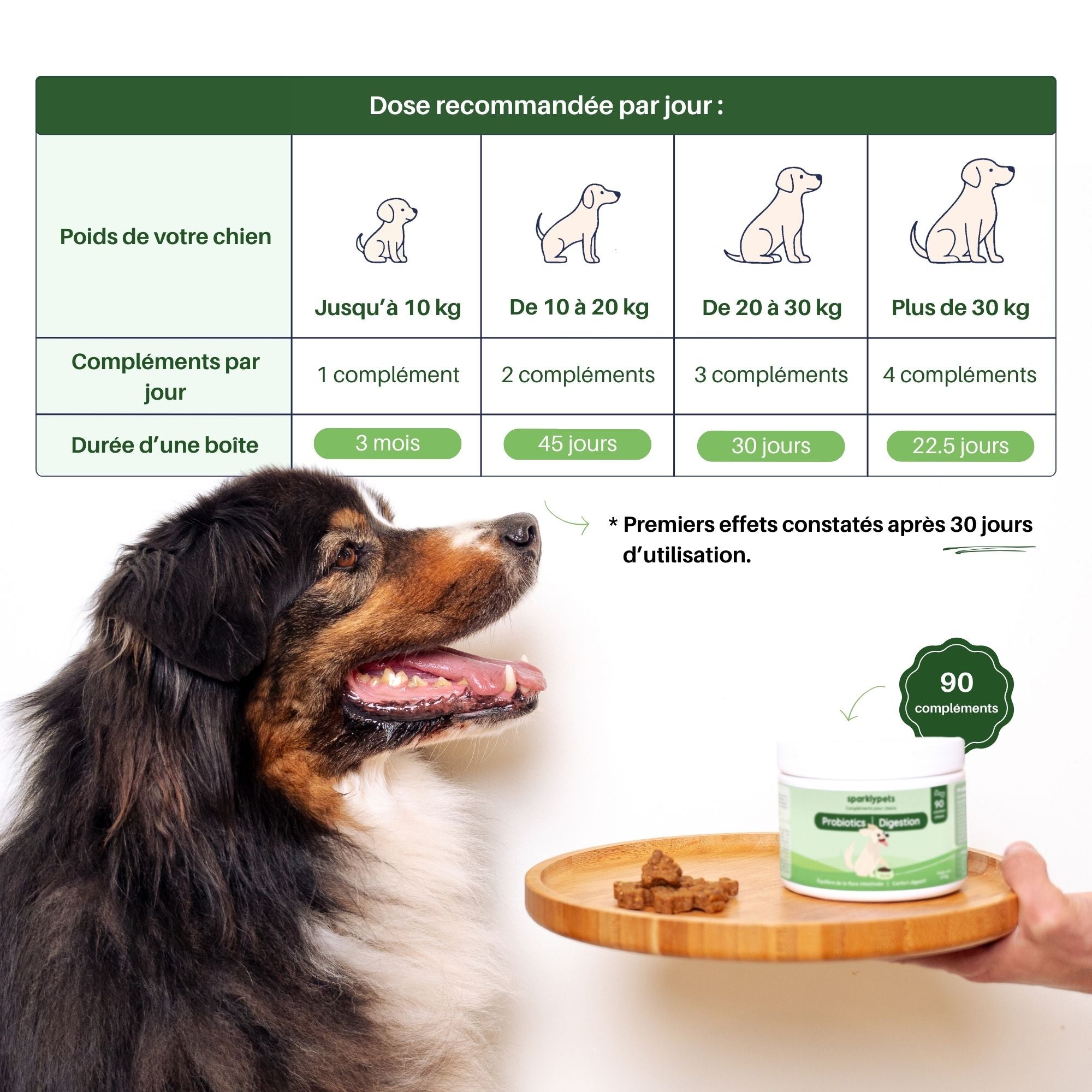 Complément Probiotiques