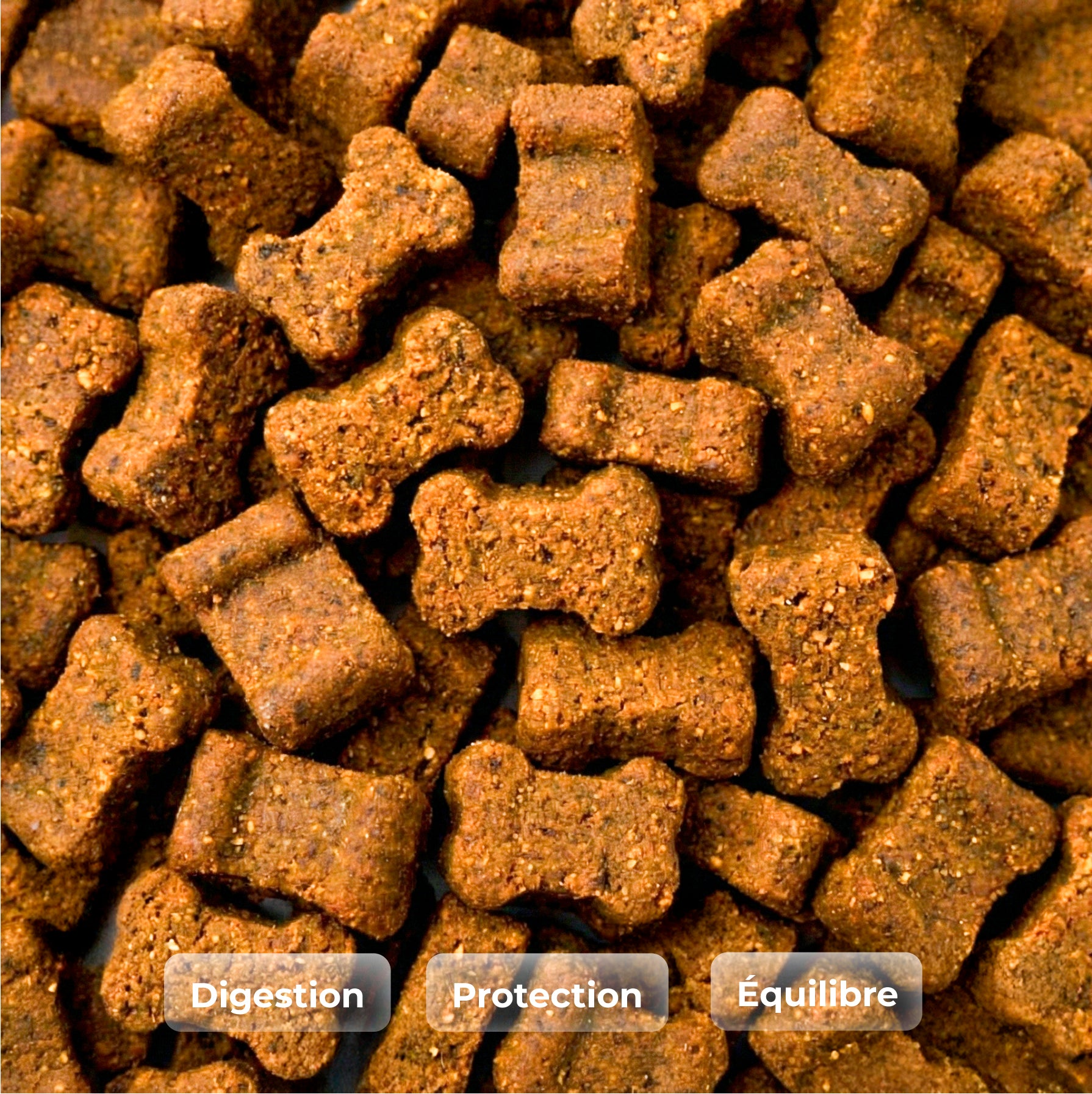 Complément Probiotiques